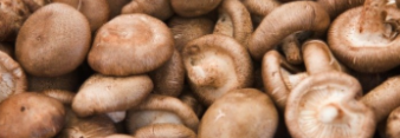 Korona gomba
