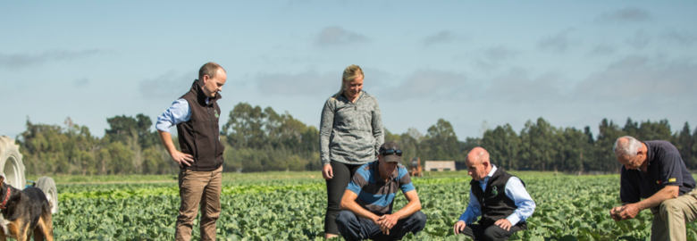MARKET GARDENERS LIMITED