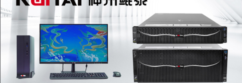 Beijing Digital China Limited