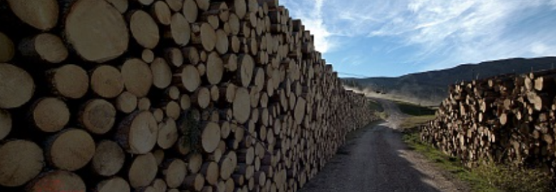 Schmid Holz GmbH
