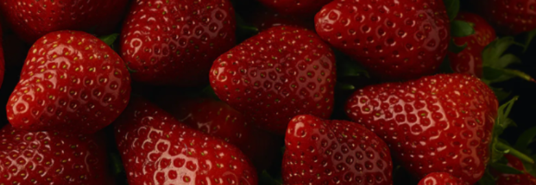 BerryWorld