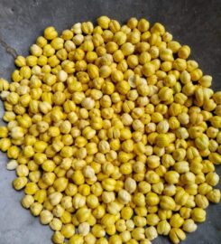 Dakshraj NG biomass pvt