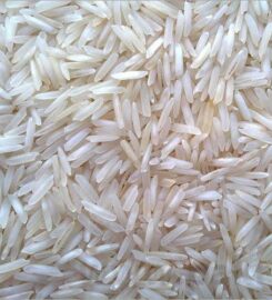 Dakshraj NG biomass pvt
