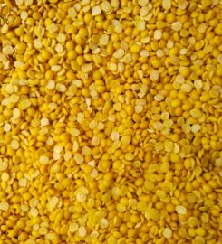 Dakshraj NG biomass pvt